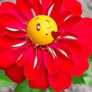 Meet your Posher, Delia